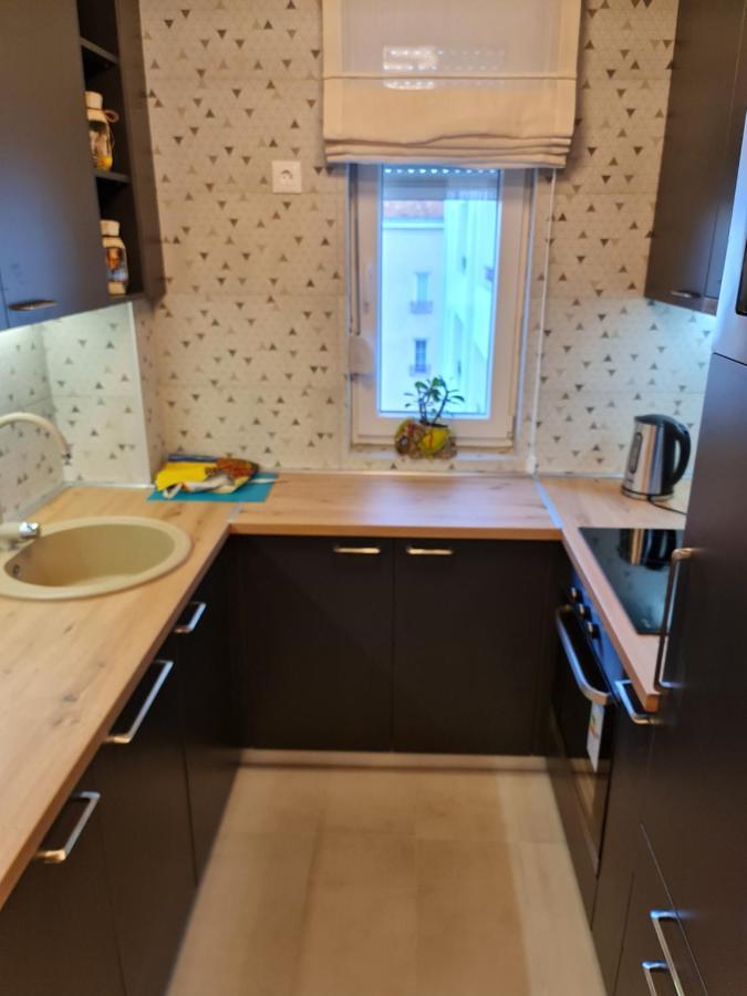 Grand Lux Apartman Čačak Zewnętrze zdjęcie